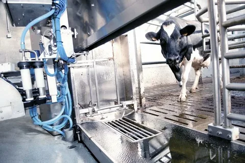Automatic Milking System Market