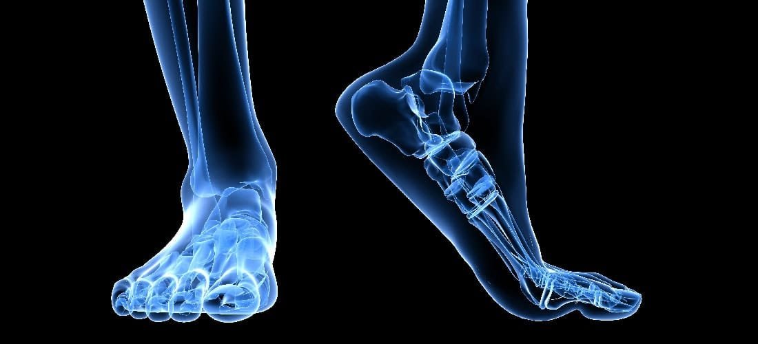 Dynamic Orthotics Market