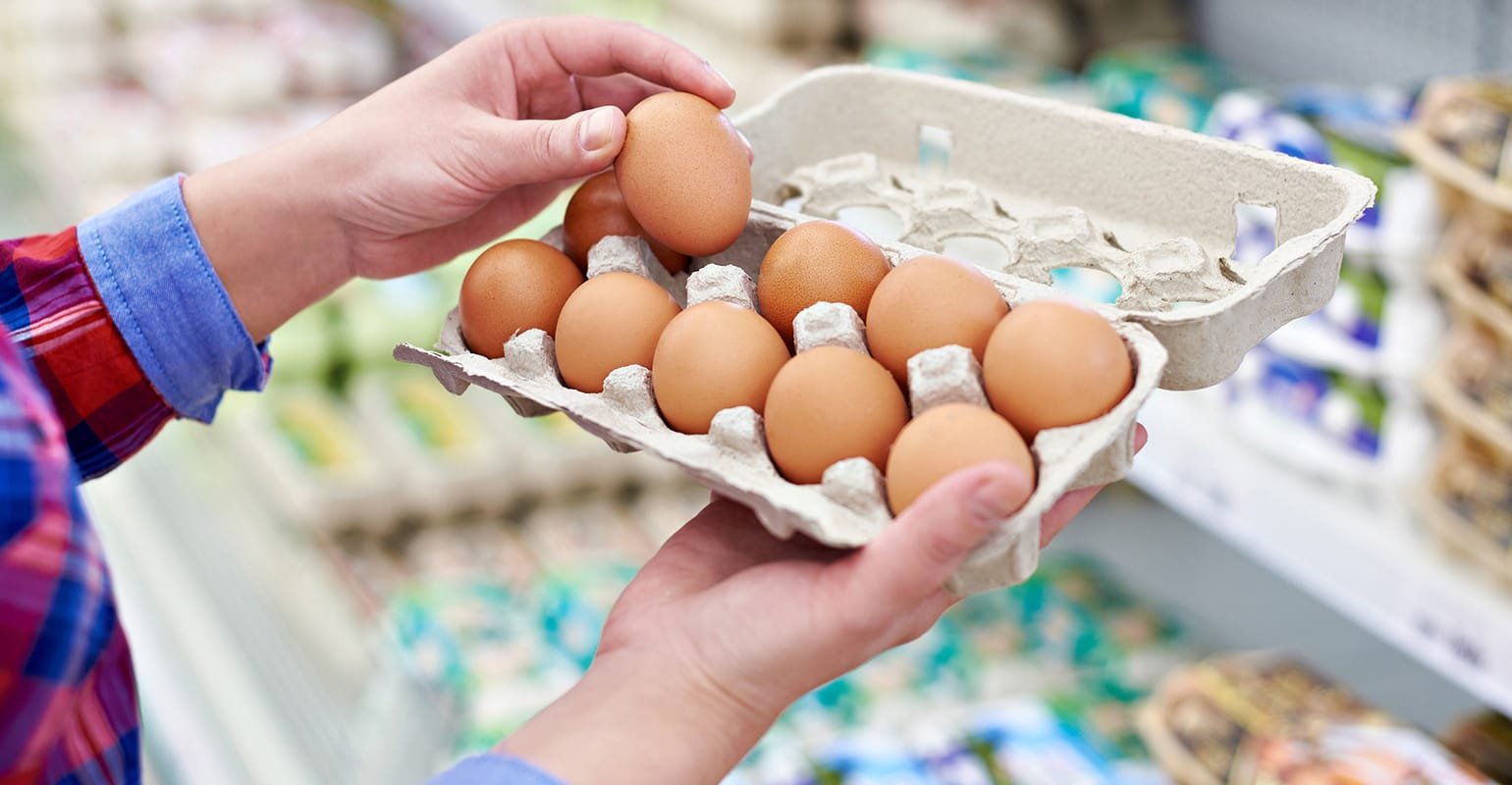 Egg and Egg Products Market