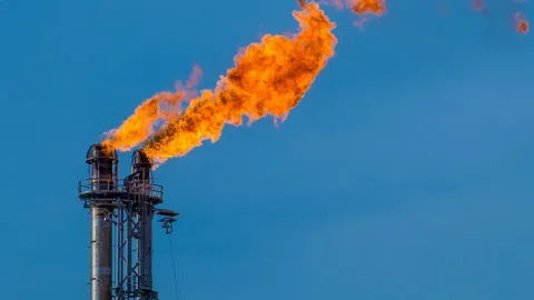 Flare Monitoring Market