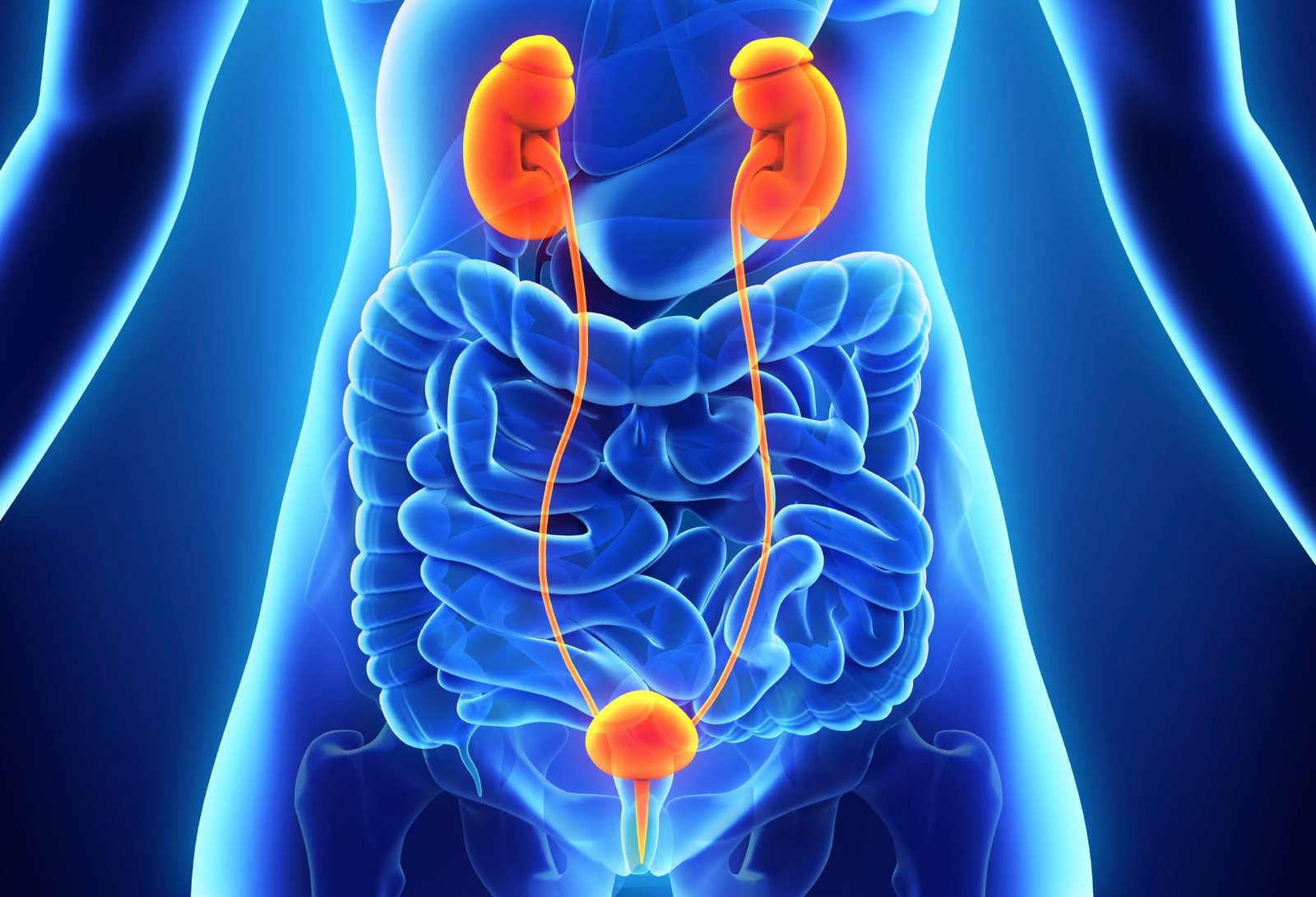 Kidney Cancer Therapeutics and Diagnostics Market