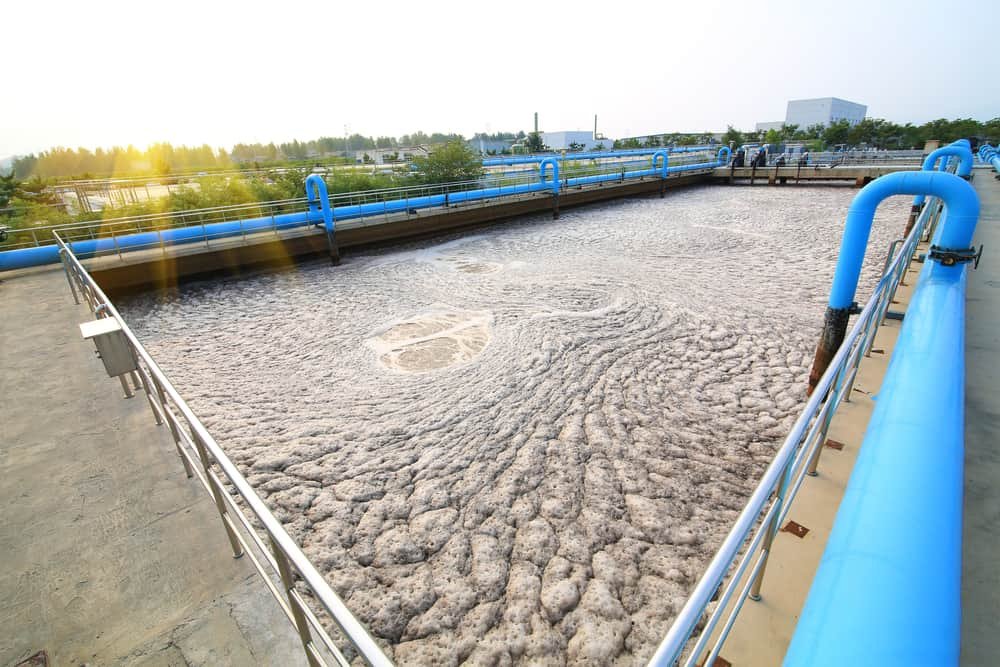 Sewage Sludge Market