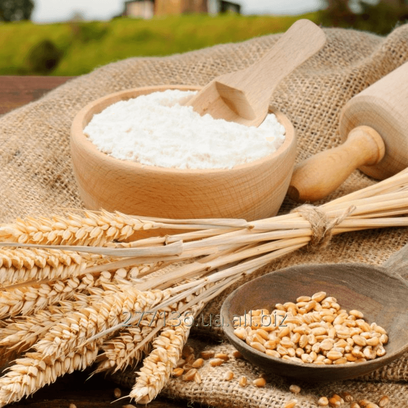 Wheat Starch Market