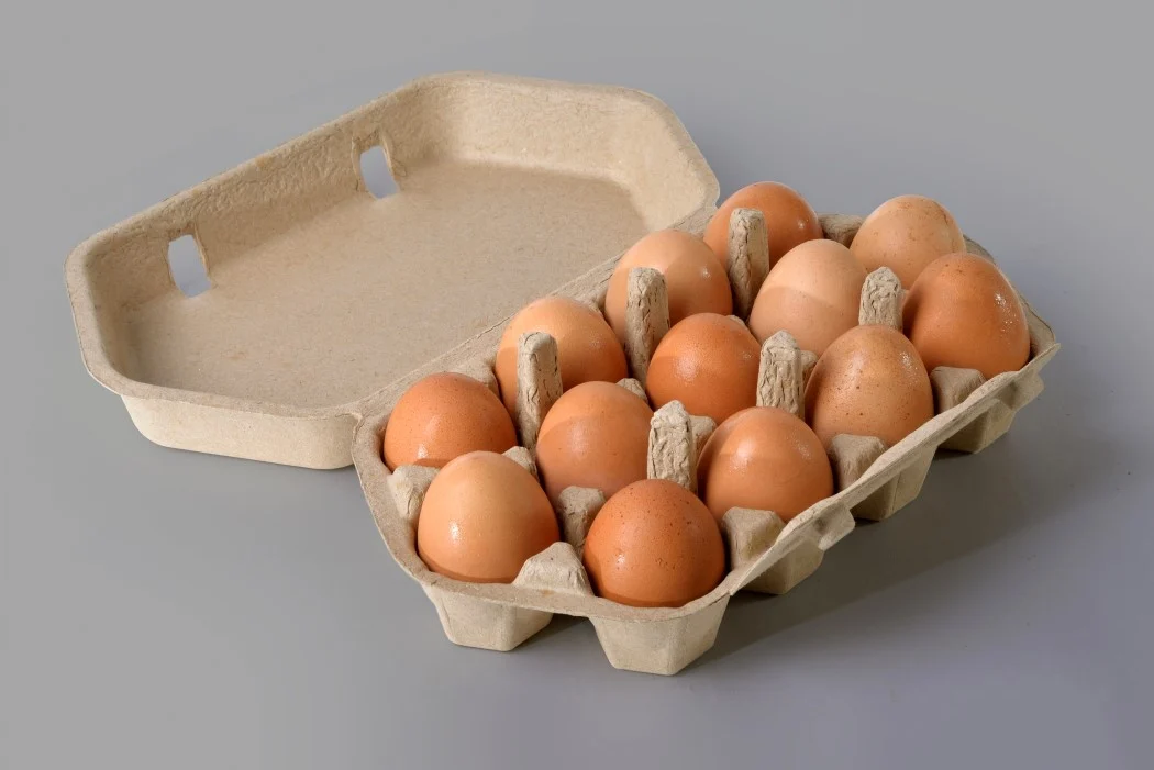 egg-carton-market-north-america-is-expected-to-expand-at-a-5-4-cagr