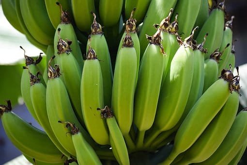 Green Banana Flour Market