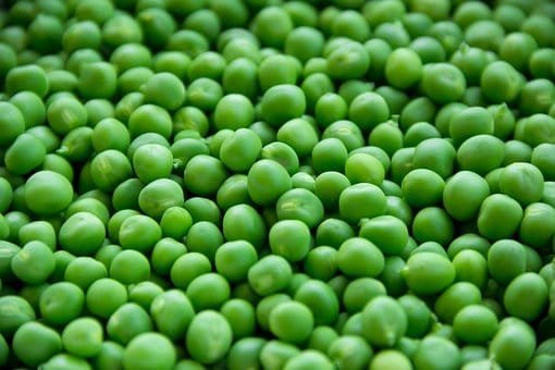 Pea Protein Market