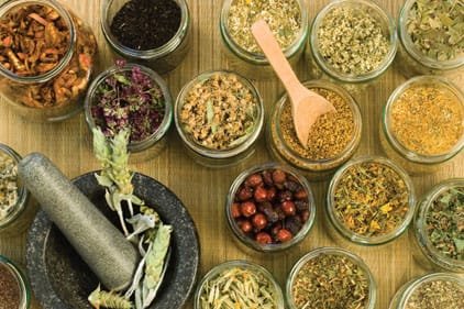 Bioactive Ingredients Market