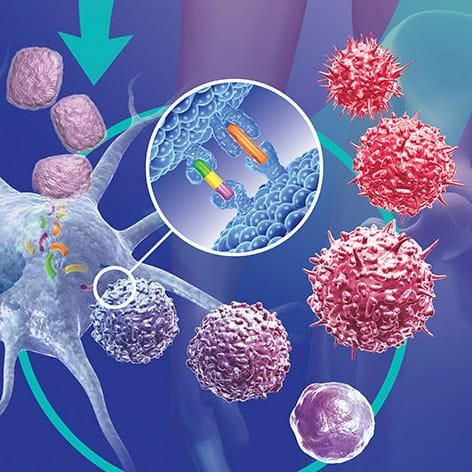 Cancer Therapy Market