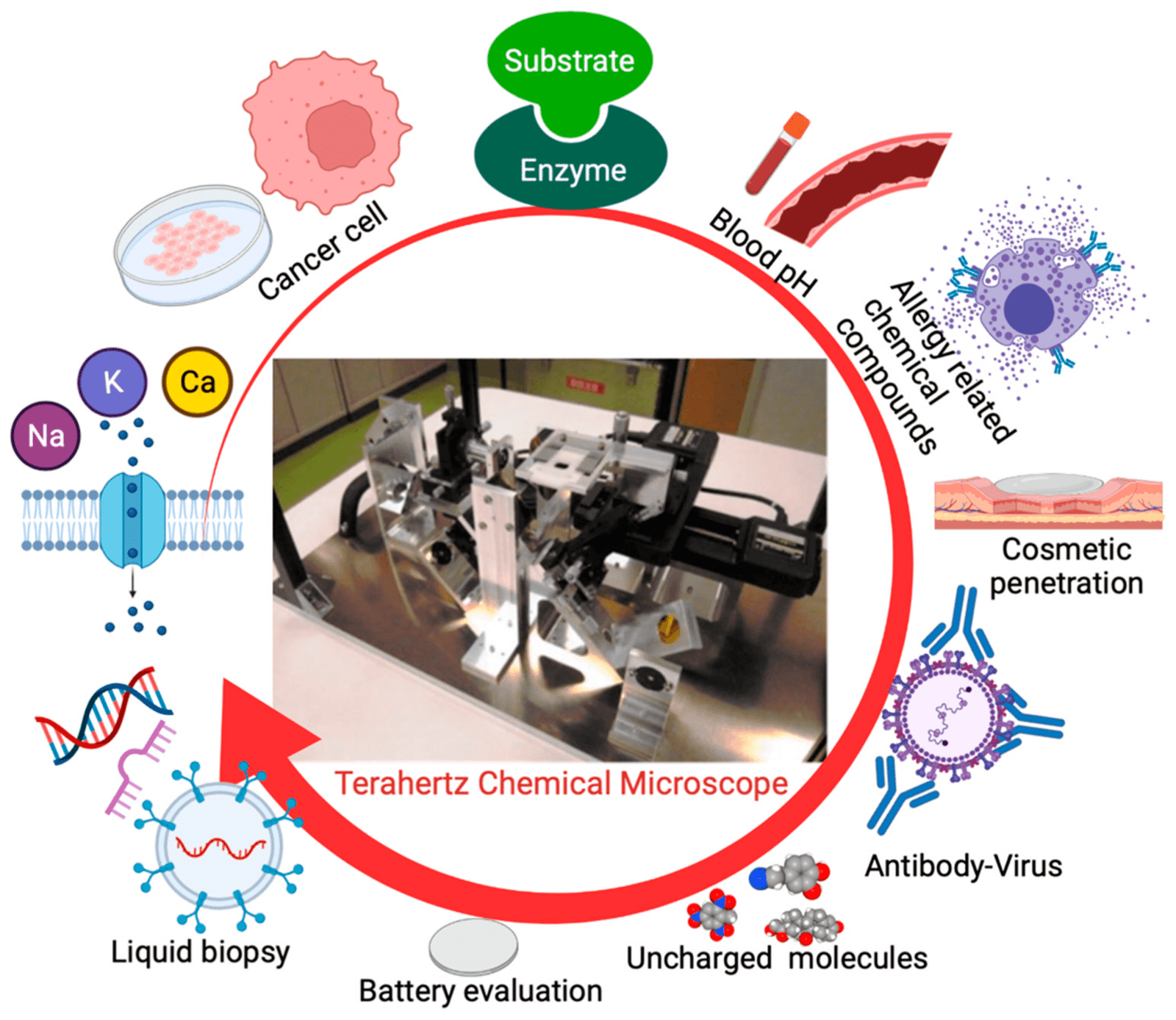 Medical Terahertz Technology Market