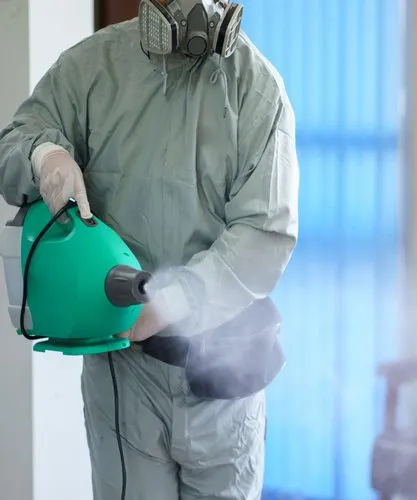 Sterilization Services Market