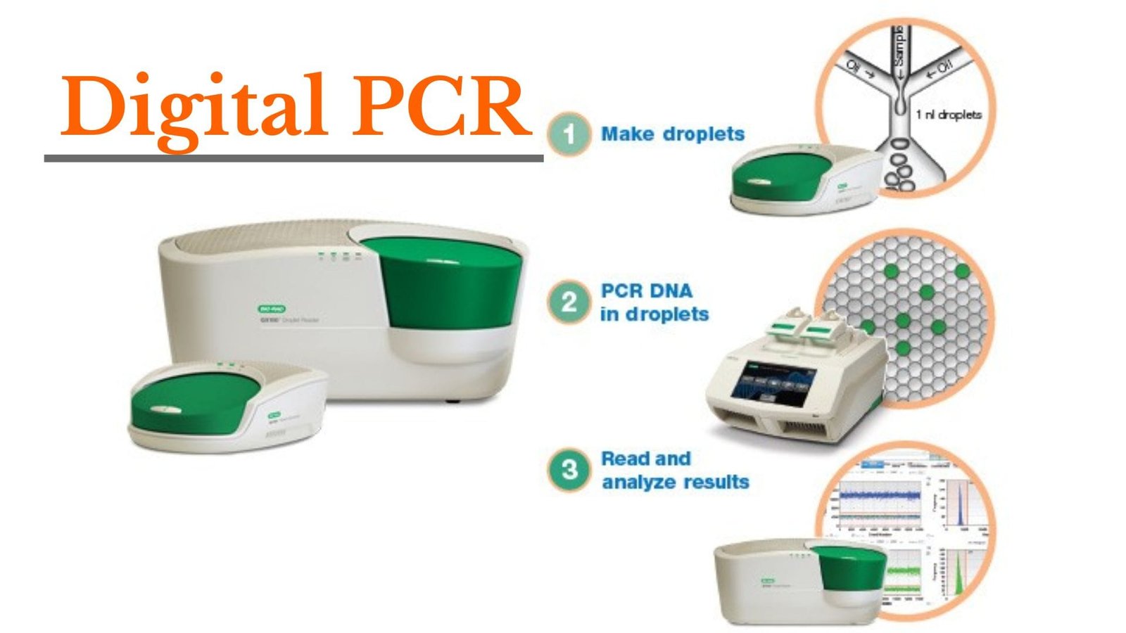Digital PCR Market