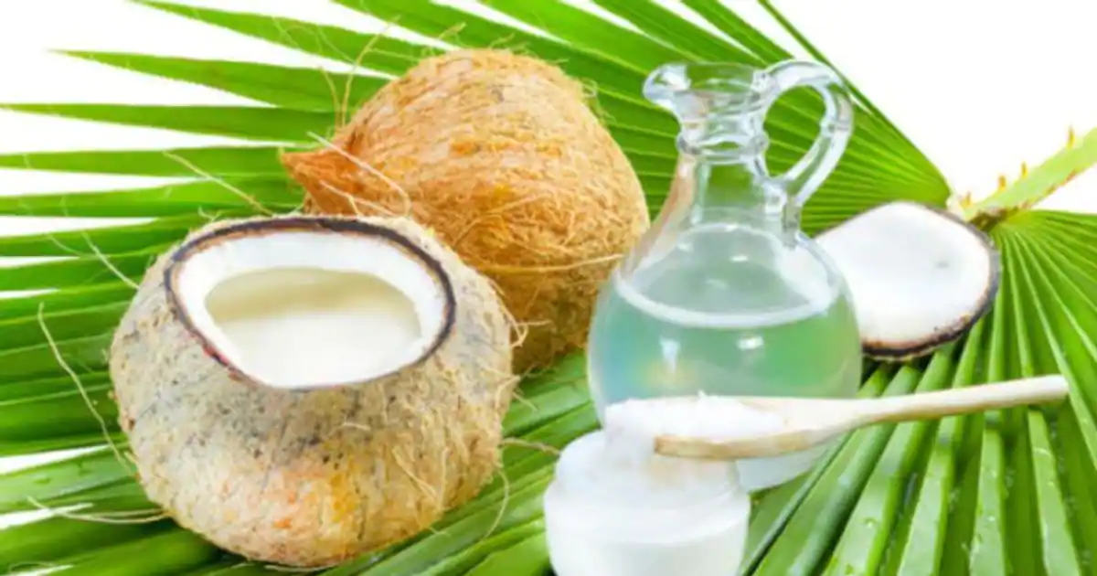 Packaged Coconut Water Market