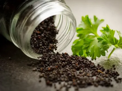 Parsley Seeds