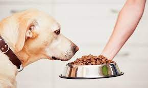 Animal-based Pet Protein Market