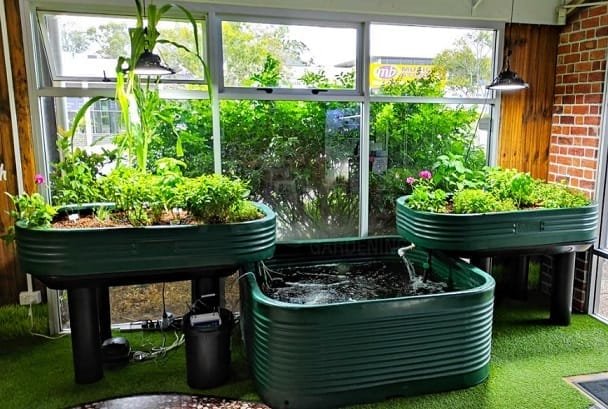 Aquaponics Market