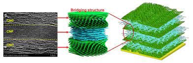 Biocomposites Market