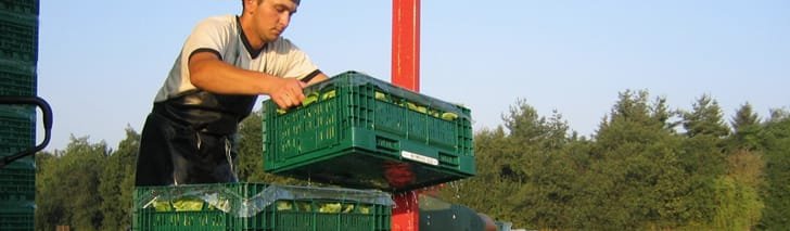 Hot Runners for Transportation & Logistics Market