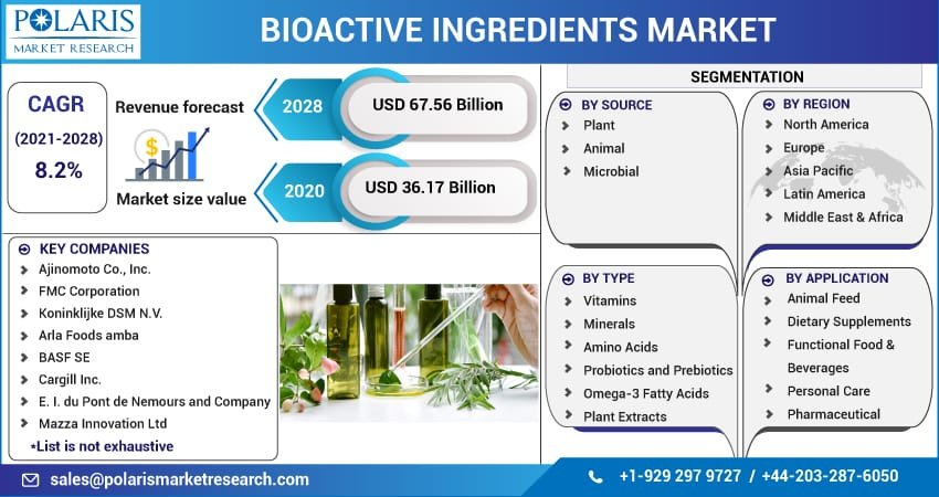 Bioactive Ingredients Market