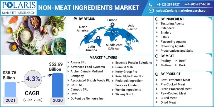 Non-meat Ingredients Market