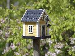 Bird House Market