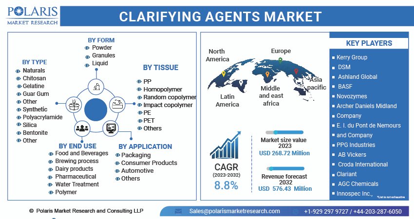 Clarifying Agents Market