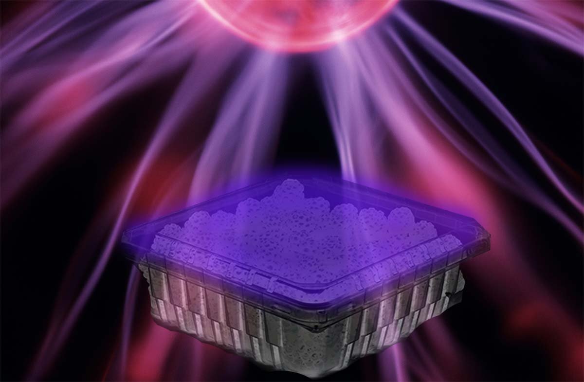 Cold Plasma