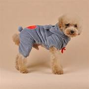 Dog Clothes