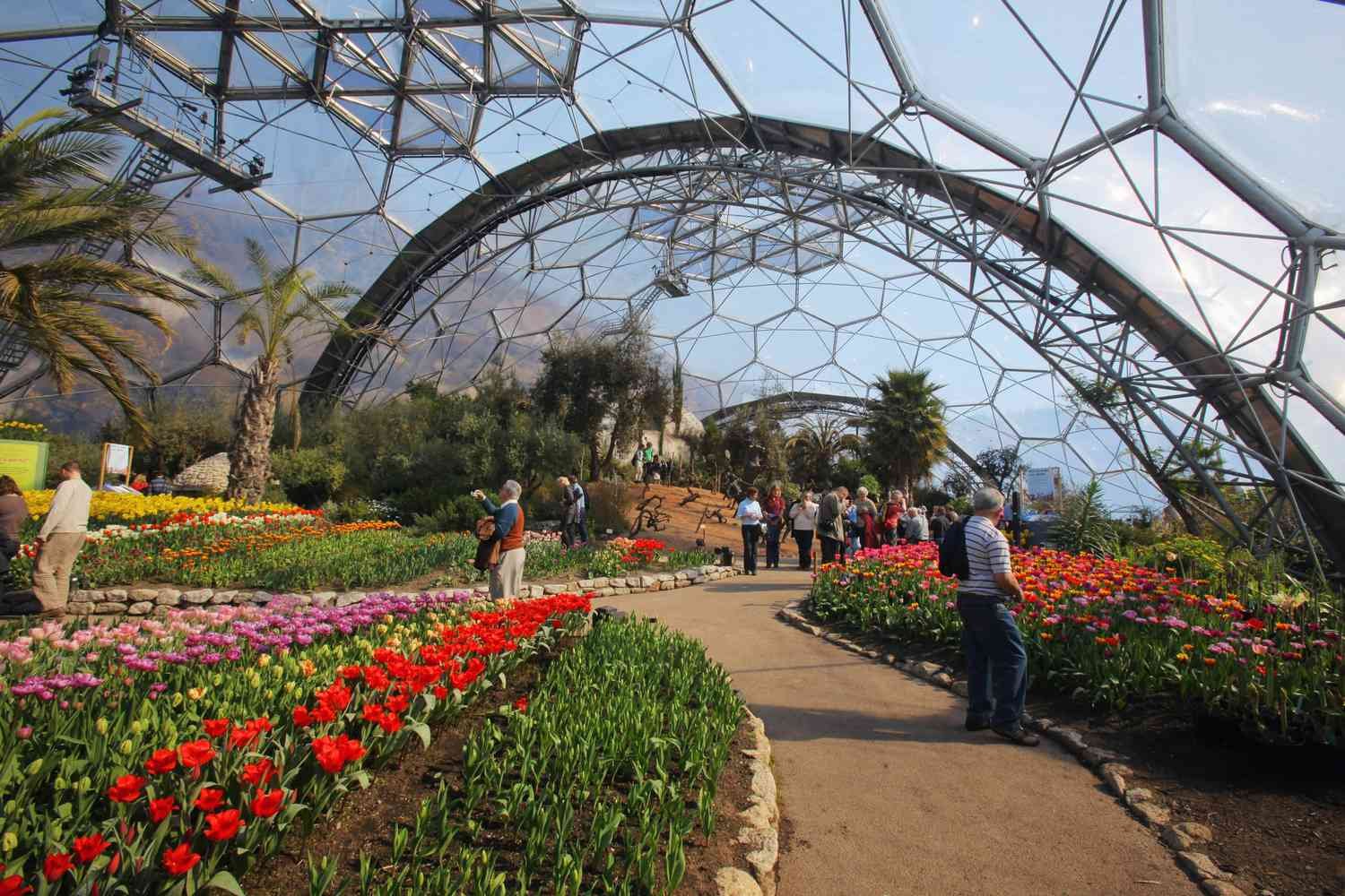 ETFE
