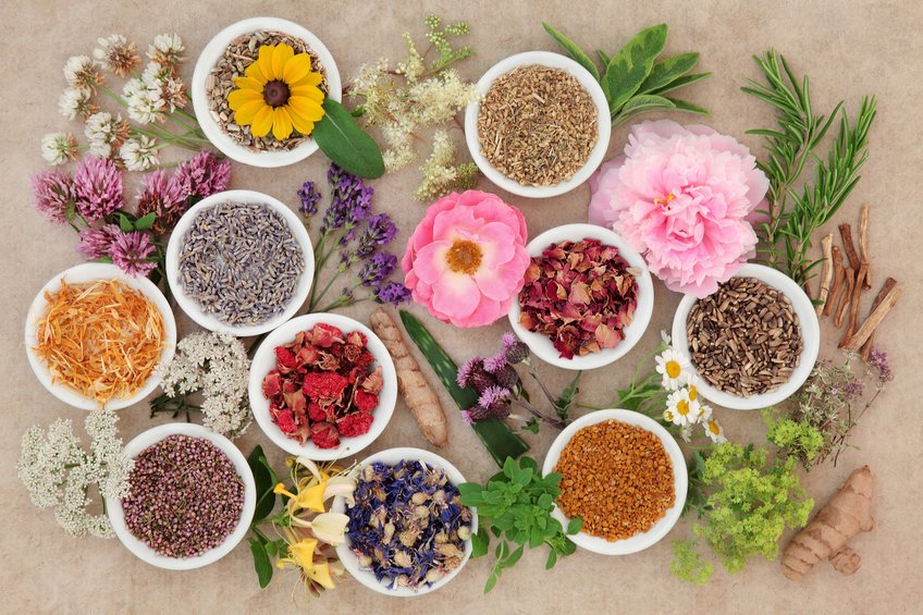 Food Botanicals
