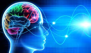Neuromarketing solutions Market