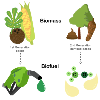 Second Generation Biofuels Market