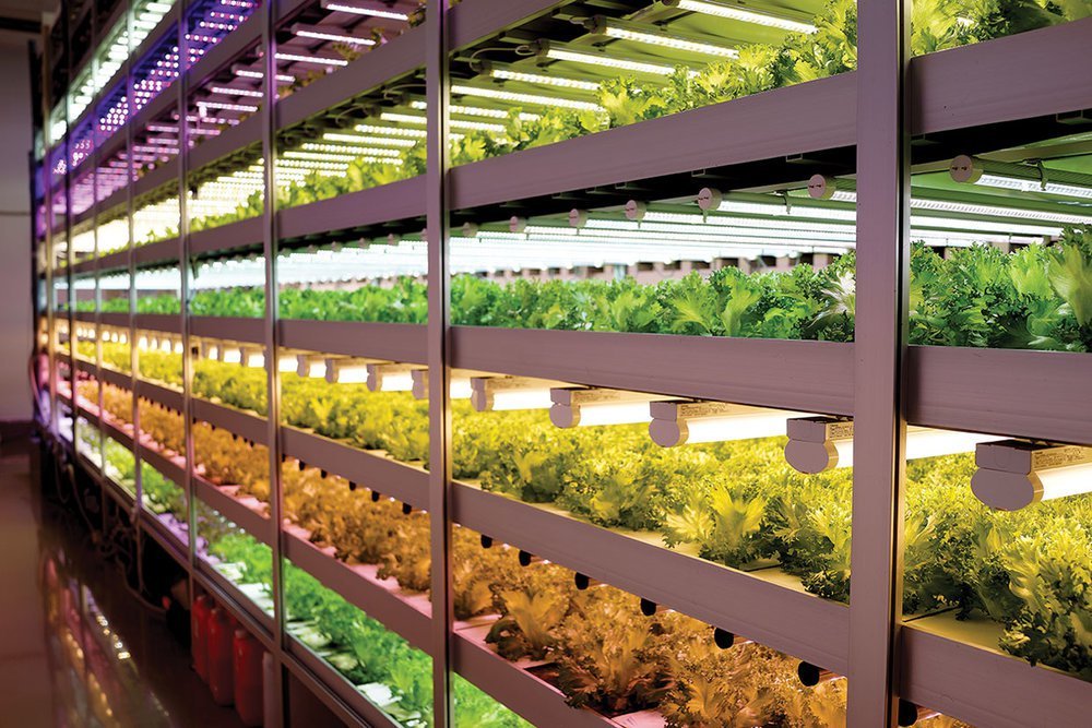 Indoor Farming Market