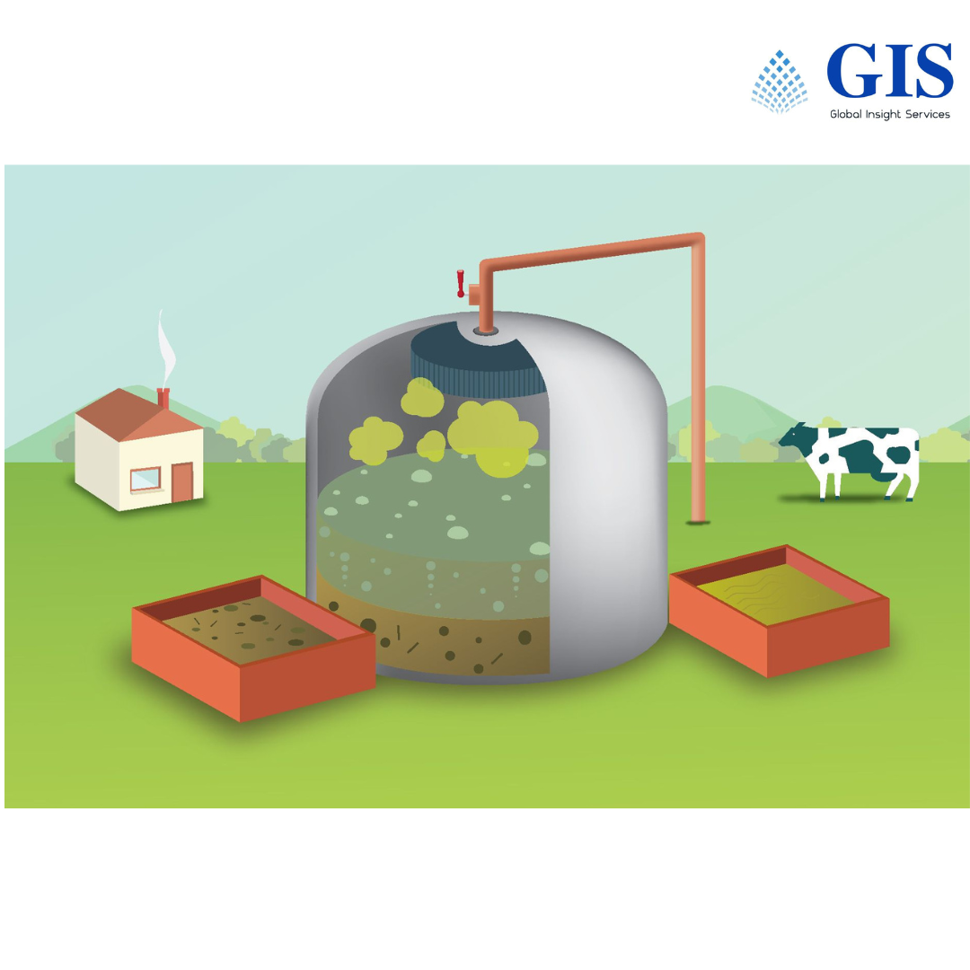 Biogas Market