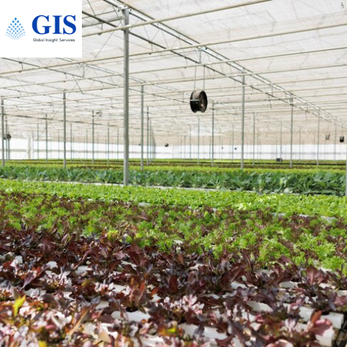 Greenhouse Film Market