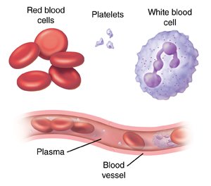 Blood and Blood Components Market