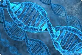 Genomics Market