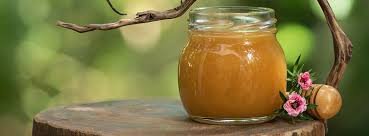 Manuka Honey Market