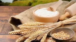 Organic Wheat Derivatives Market