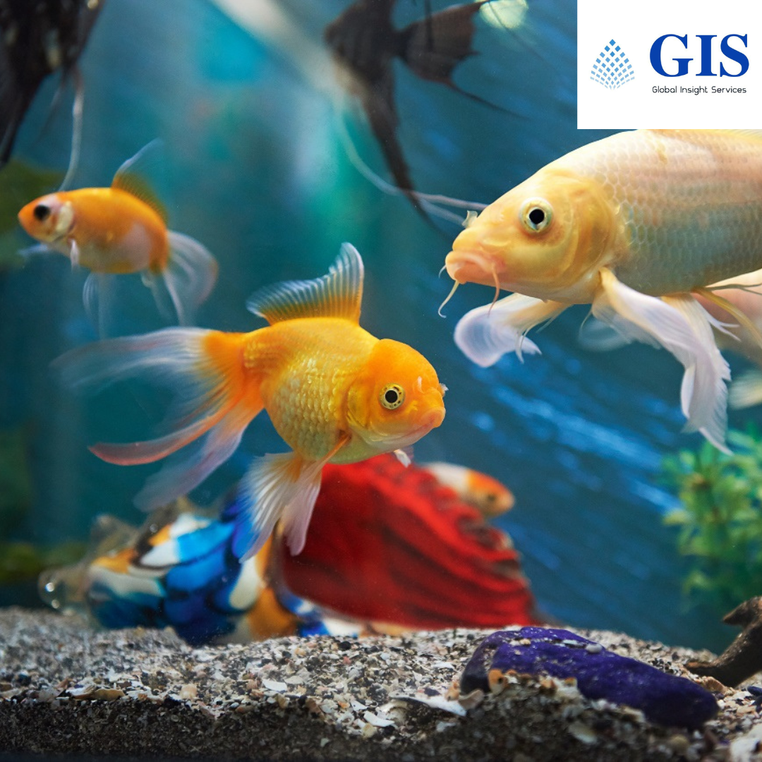 Ornamental Fish Market