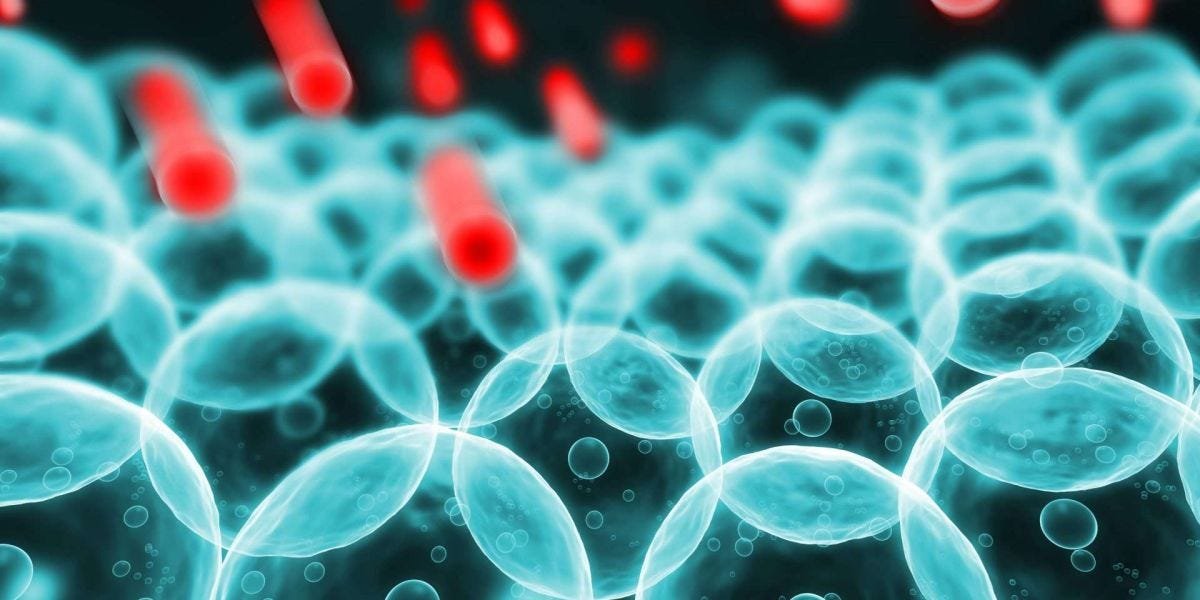 Oxidative Stress Assay Market