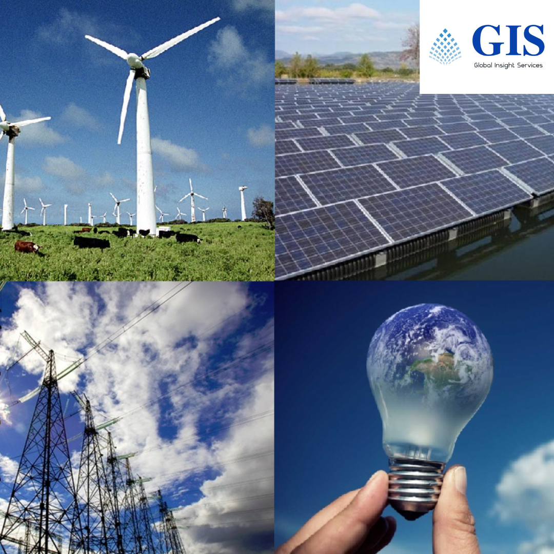 Renewable Naphtha Market