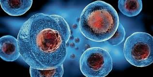 Stem Cells Market