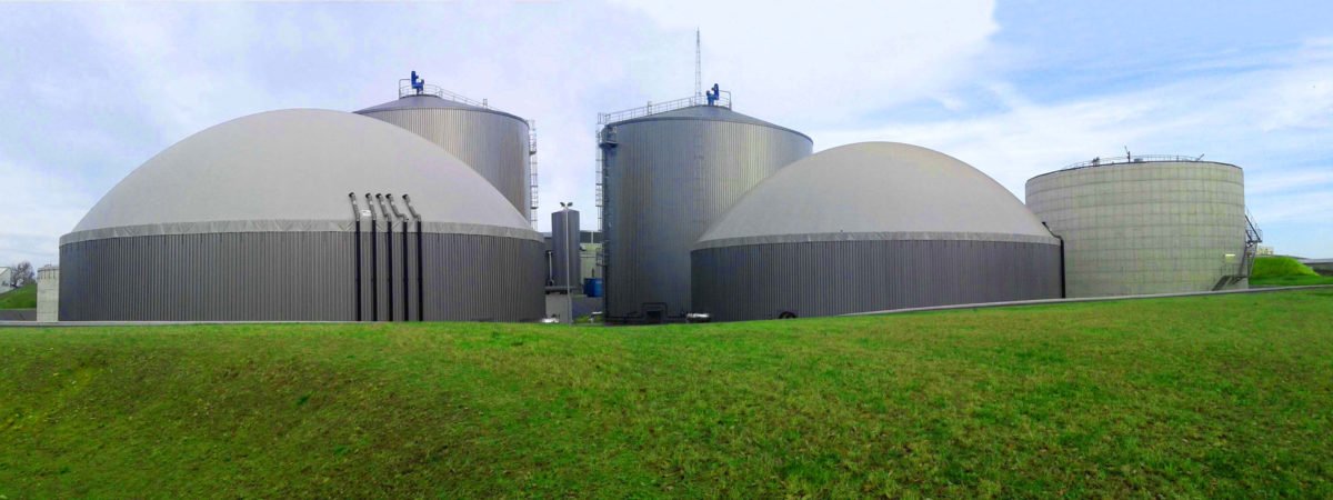 Biogas Market