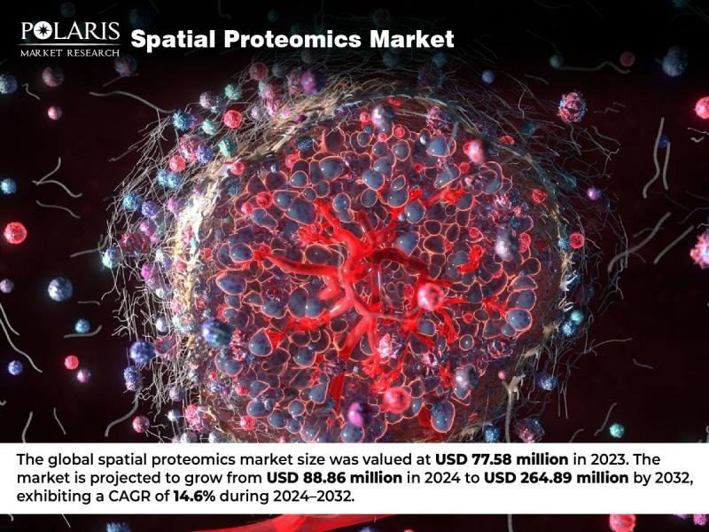Spatial Proteomics Market
