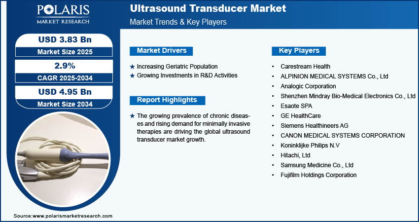 Ultrasound Transducer Market