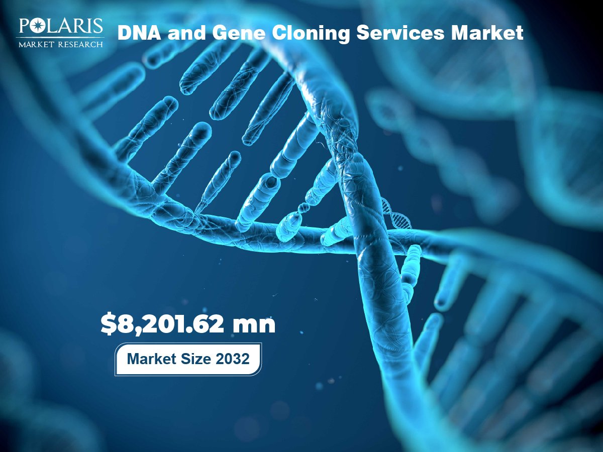 DNA and Gene Cloning Services Market
