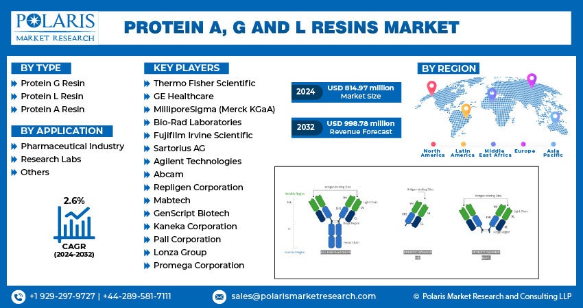 Protein A, G, and L Resins Market