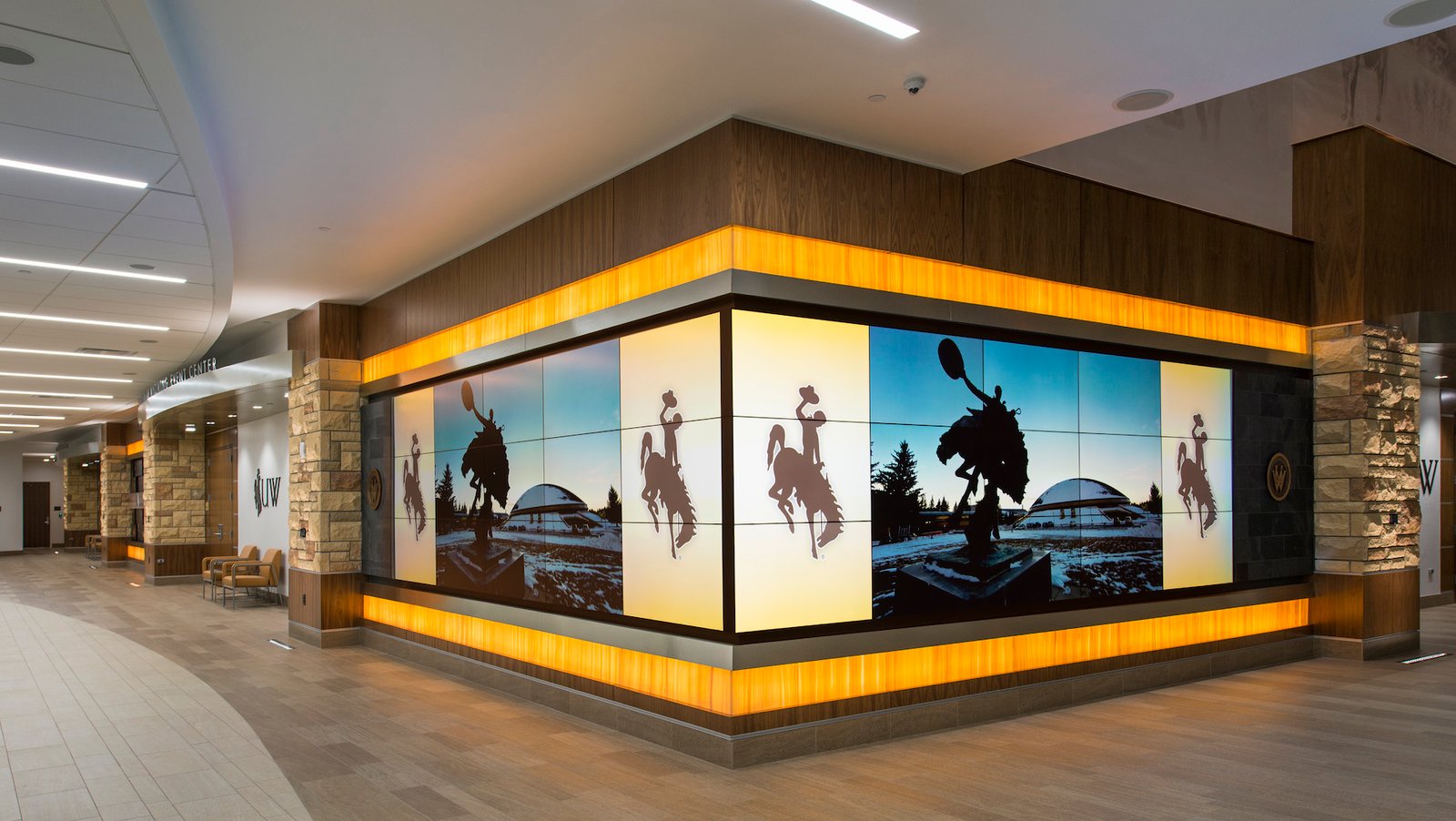commercial displays market