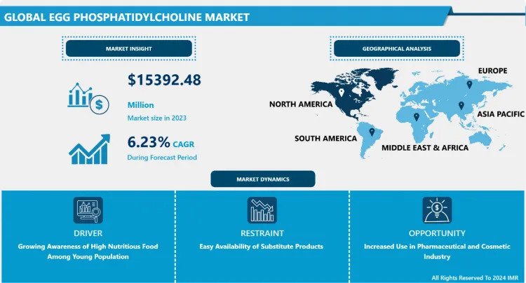Egg Phosphatidylcholine Market
