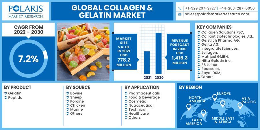 Collagen & Gelatin Market